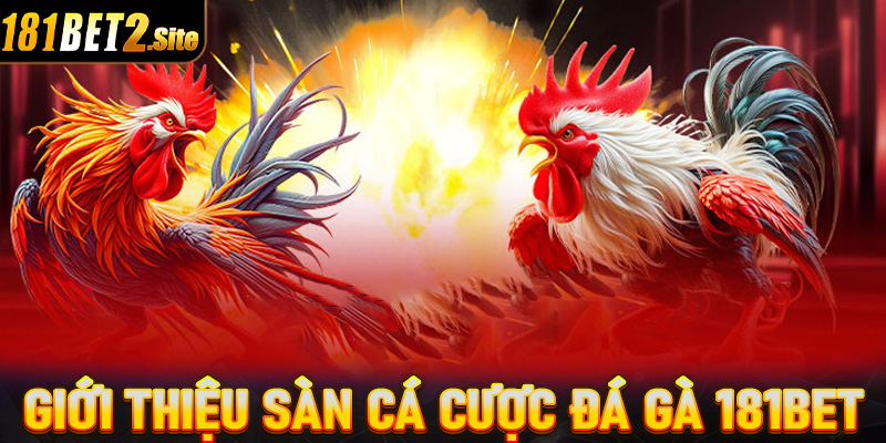 Giới thiệu tổng quan chung về sàn cá cược đá gà 181Bet 