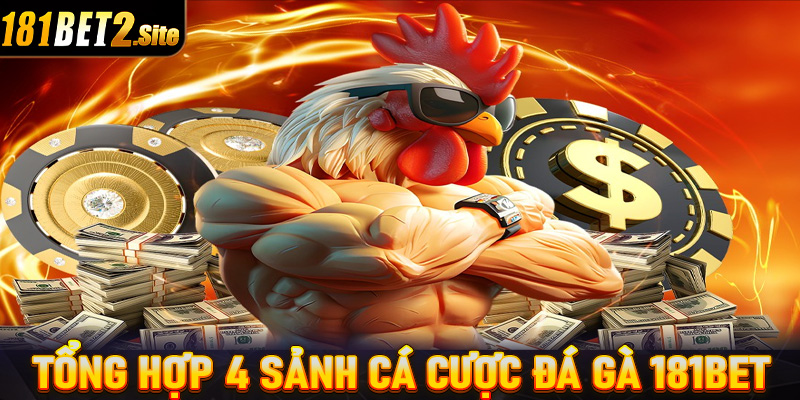 Tổng hợp 4 sảnh cá cược đá gà 181Bet đang được nhiều người chơi nhất 