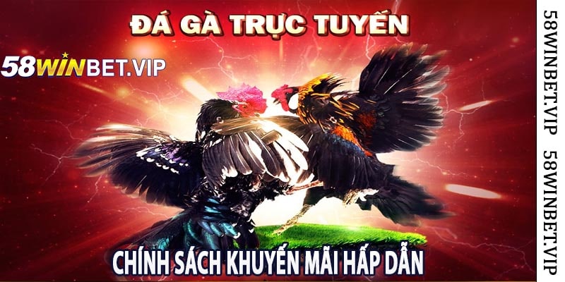 Chính Sách Khuyến Mãi Hấp Dẫn