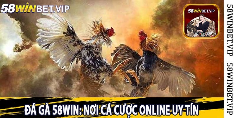 Đá Gà 58win: Nơi Cá Cược Online Uy Tín
