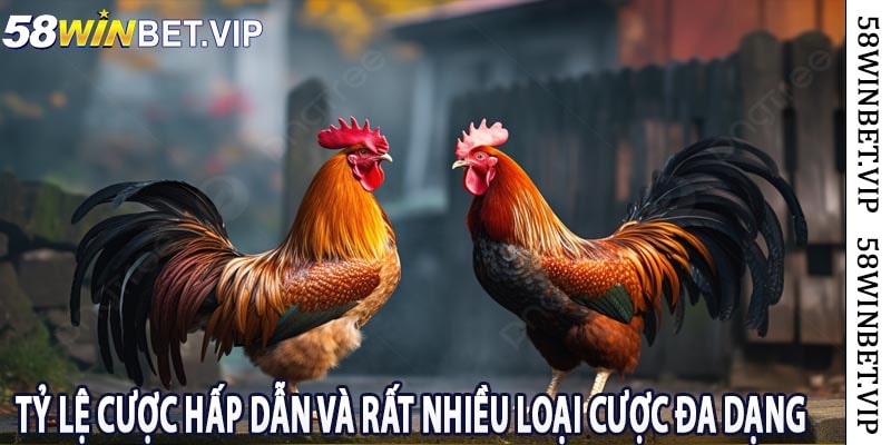 Tỷ Lệ Cược Hấp Dẫn Và Rất Nhiều Loại Cược Đa Dạng